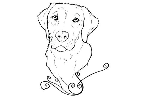 Golden Retriever Coloring Pages - Best Coloring Pages For Kids
