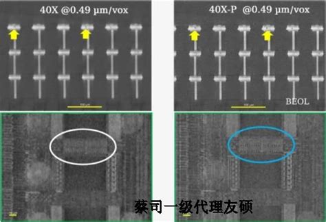 Vector Model Xfp36 Microscope Video 的图像结果
