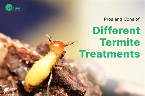 Termite Treatment Options Are There Tentless Termite Treatment