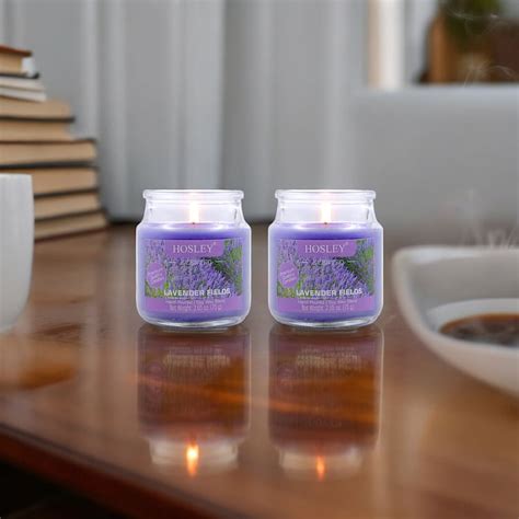 Buy HOSLEY Set of 2 Lavender Fields Scented Jar Candles from Hosley at ...