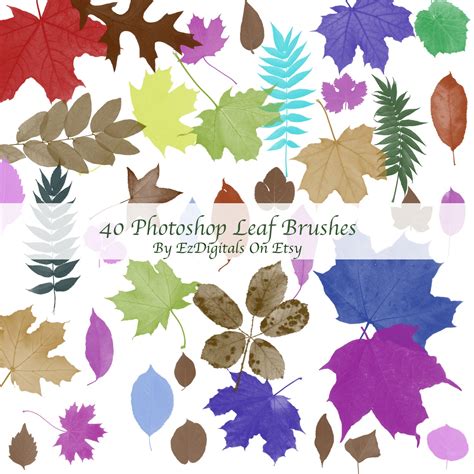 Photoshop Leaf Brushes, Photoshop Brush Set, Photoshop Leaves, Leaves ...