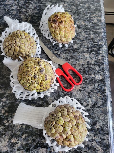 Buy Soursop Fruit near me with free delivery