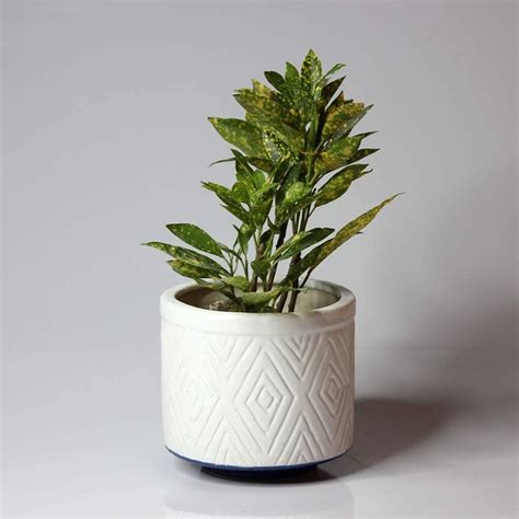 BRAHMZ Ceramic Planters, Table Top Indoor Planter Pot White Ceramic ...