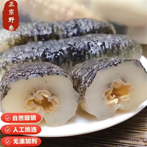 Golden Bald Ginseng Lightly Dried Angelica High-end Sea Cucumber Bald ...