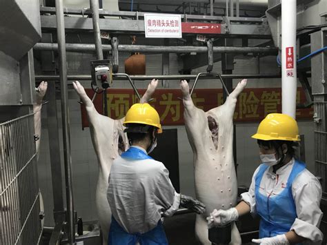 切肉机肉类切割设备_肉类切割设备_广州市天烨食品机械有限公司
