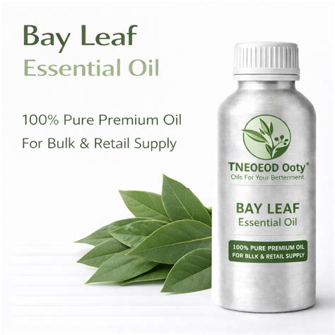 Bay Leaf Essential Oil - 100% Pure | Steam Distilled | Pain Relief ...