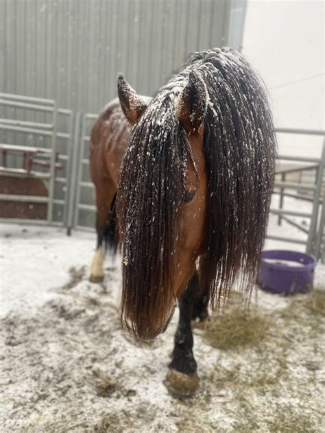 Timber Creek Veterinary Hospital