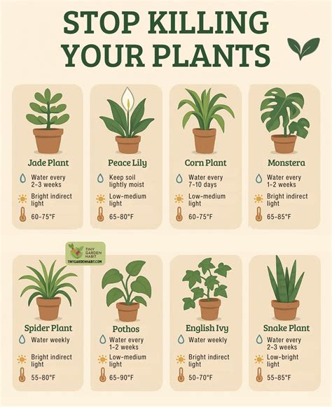 Plants i will probably kill by accident – Artofit