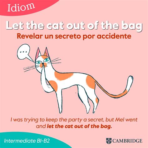 Idiom 'Let the cat out of the bag' - Cambridge Blog