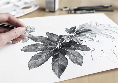 Artzo's Artloop Sublime Sketch-on Paper Review: A4 & A3 Sizes for ...