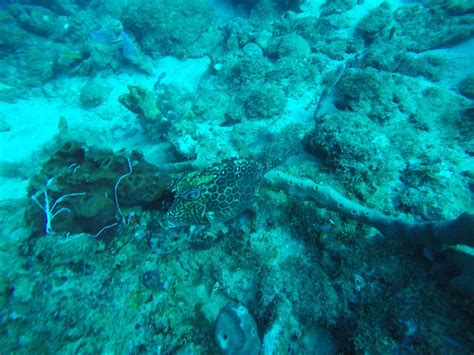 SALT (2026) All You Need to Know BEFORE You Go (with Photos) - Tripadvisor