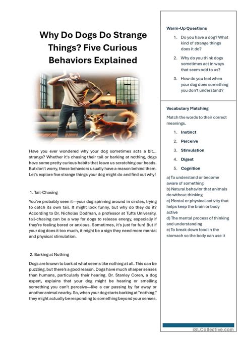 Why Do Dogs Do Strange Things? Five…: English ESL worksheets pdf & doc