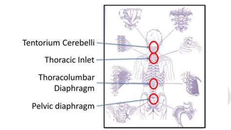 Image result for Common Compensatory Pattern