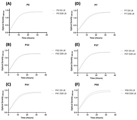 The Persistence of Staphylococcus aureus in Pressure Ulcers: A ...