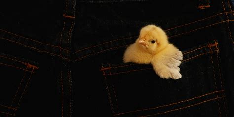 ¿El gluten causa queratosis pilaris (piel de gallina)? - Amy Burkhart, MD, RD