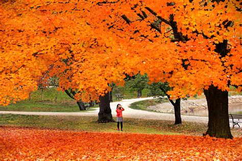 Boston Globe Media | Local Relevance. National Resonance.