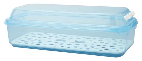 Buy Starmaid Fridge Mate Celery Food Storage Container, 4.7-Quart, Blue ...