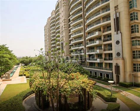 DLF The Aralias 4 BHK Premium Flats in Sector 42, Gurgaon
