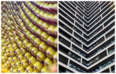 Symmetry And Patterns In Photography