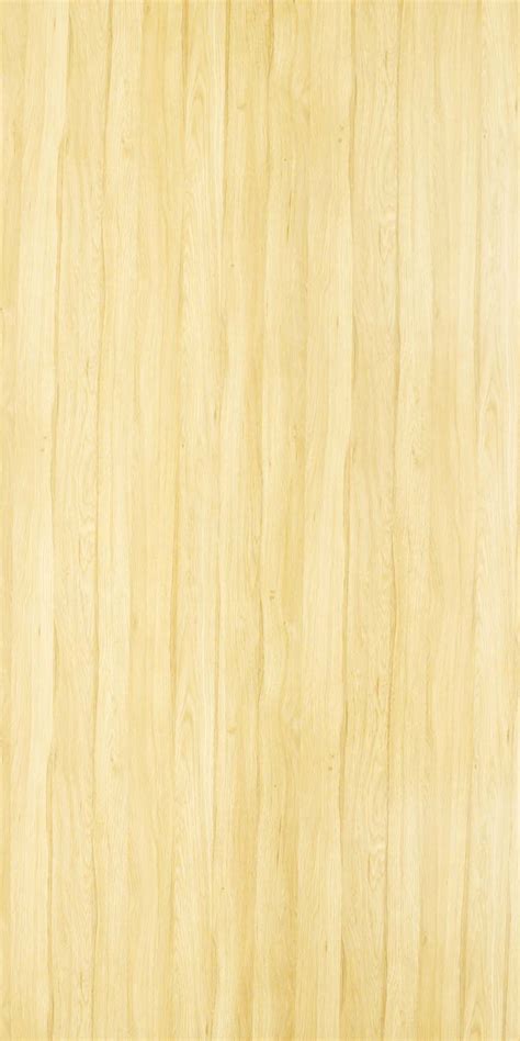 Buy Primeval Oak Laminates with Olmo (OLM) finish in India - Greenlam ...