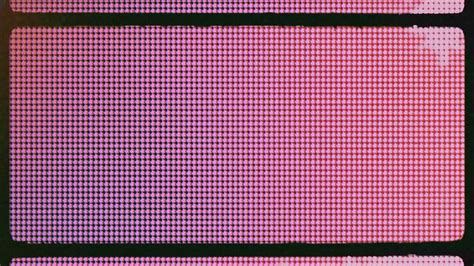 Computer Screen Video Effect 的图像结果