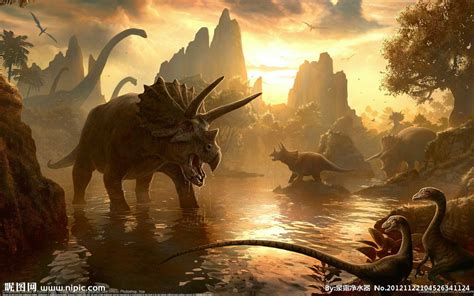 恐龙骨骼，恐龙骨架化石，化石模型制作公司_自贡大洋艺术有限责任公司