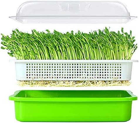 Homend Seed Sprouter Tray, 5 Pack Seed Germination Tray BPA Free ...