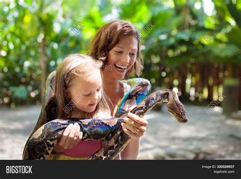 Python Snake Woman 的图像结果