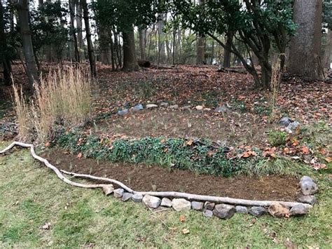 Native Plant Landscape Design 的图像结果