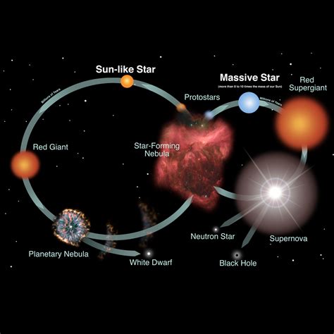 Stages Of Star From Nebula To A Supernova