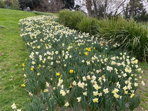 Visita a los Jardins de Mossèn Cinto Verdaguer