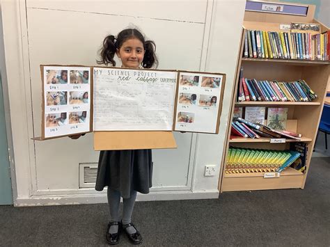 Image result for Science Working Project Class 4