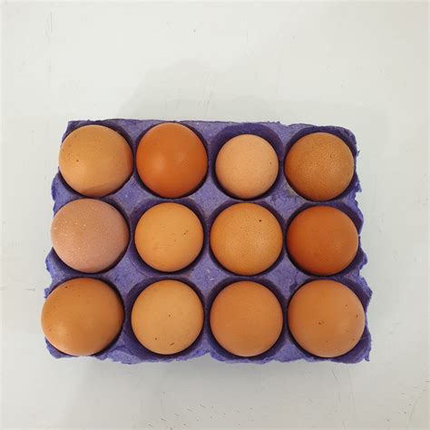 Egg 1 Dozen
