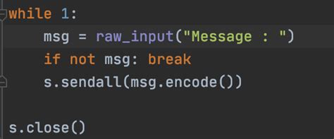 Python Socket Module 的图像结果