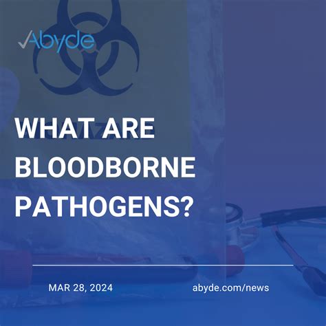 What are Bloodborne Pathogens | Abyde