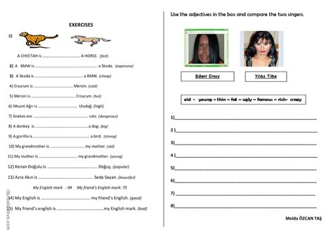 Compraretive Worksheet 的图像结果