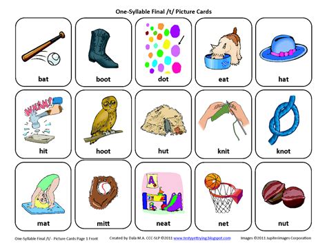 Testy yet trying: Final T: Free Speech Therapy Articulation Picture Cards