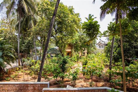 Vivekananda Vrikshalaya – Urban Foresting Project – Ramakrishna Ashrama ...