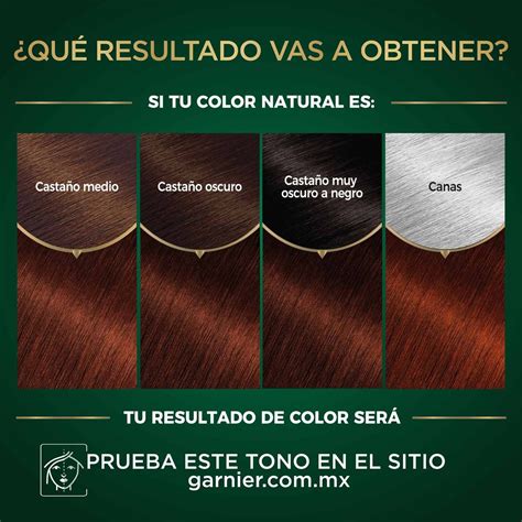 Tinte para Cabello Garnier Nutrisse Oleos Castaño Oscuro Caoba 5.5 | DelSol