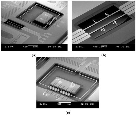 Integrated Thermal and Microcoriolis Flow Sensing System with a Dynamic ...