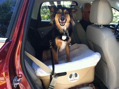 Best Dog Car Seat
