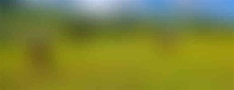 Potala Homestay, Mechukha: A Peaceful Sanctuary in the Heart of ...