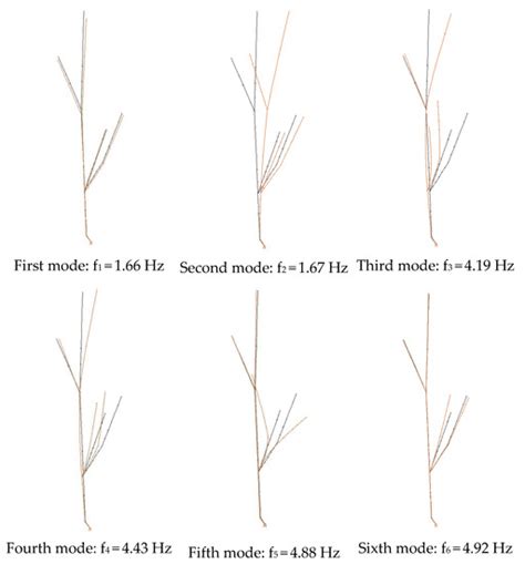 Evaluation of Dynamic Properties of Trees Subjected to Induced Vibrations