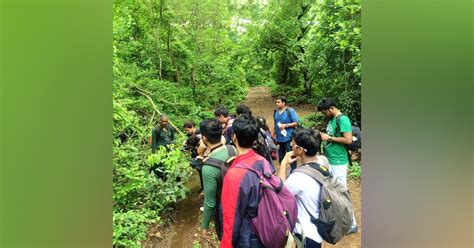 Nature Trail At Sanjay Gandhi National Park | LBB, Mumbai