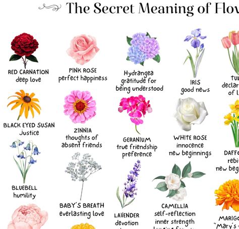 The Secret Meaning of Flowers Botanical Symbolism Flower Club Gardener ...