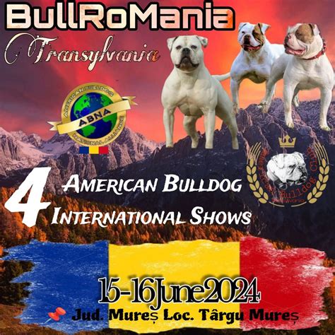 BullRoMania Transylvania American Bulldog Show, Parcul Municipal Tg ...
