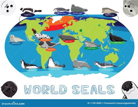 Seals Habitat Map at Nancy Green blog