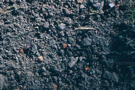 Earth Ground Examples 的图像结果