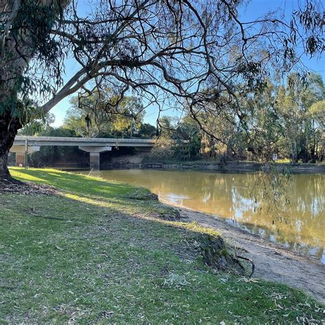 LIONS PARK (2026) All You Should Know BEFORE You Go (w/ Reviews)