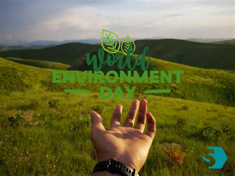 World Environment Day 的图像结果